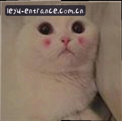 赵敏