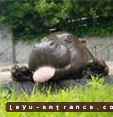 吴芳